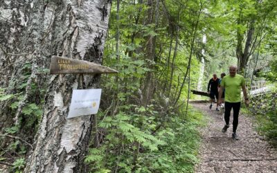 Söndag Lilla Trollstigen