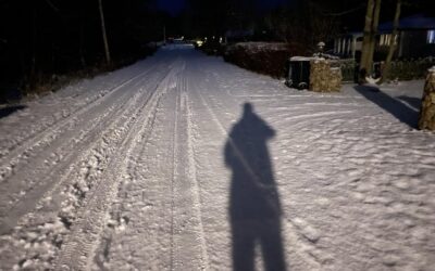 Torsdag Mitt promenadsällskap